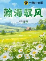 《瀚海驭风》小说封面
