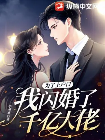 《为了上户口，我闪婚了千亿大佬》小说封面