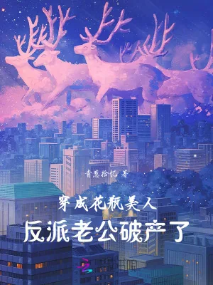 《穿成花瓶美人,反派老公破产了》小说封面