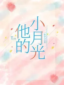 《他的小月光》小说封面