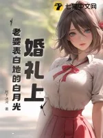 《婚礼上，老婆表白她的白月光》小说封面