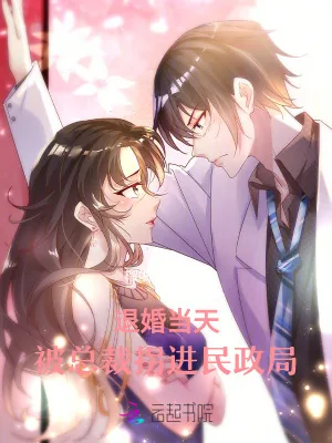 《退婚当天，被总裁拐进民政局》小说封面