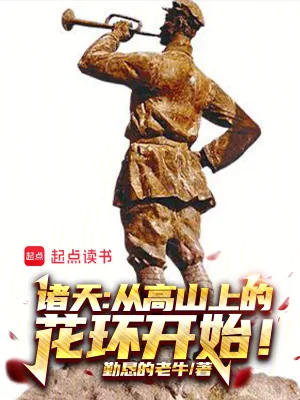 《诸天，从高山上的花环开始！》小说封面