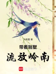 《带着别墅，流放岭南》小说封面
