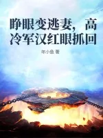 《睁眼变逃妻，高冷军汉红眼抓回》小说封面