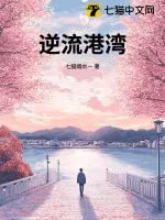 《逆流港湾》小说封面