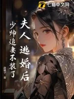 《夫人逃婚后，少帅追妻不装了！》小说封面
