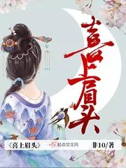 《喜上眉头》小说封面