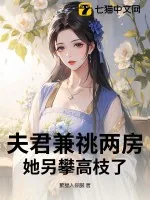 《夫君兼祧两房?她另攀高枝了》小说封面