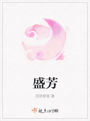 《盛芳》小说封面