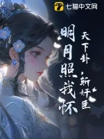《天下卦，斩奸臣，明月照我怀》小说封面