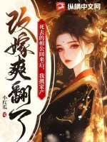 《死去的相公回来后，我携家产改嫁爽翻了》小说封面