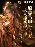 《殷总马甲千千万，夫人撒娇掉一半》小说封面