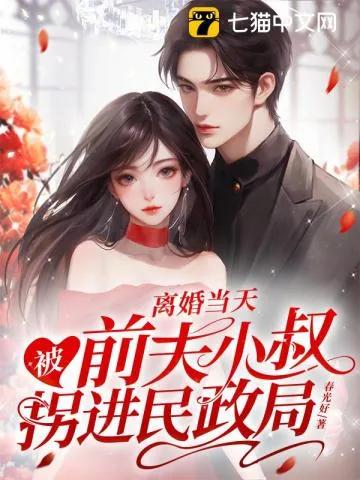 《离婚当天，被前夫小叔拐进民政局》小说封面
