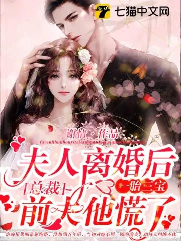 《夫人离婚后一胎三宝，总裁前夫他慌了！》小说封面
