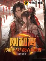 《刚和离,冷面王爷八抬大轿求娶》小说封面