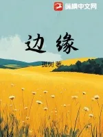 《边缘，》小说封面