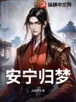 《安宁归梦》小说封面