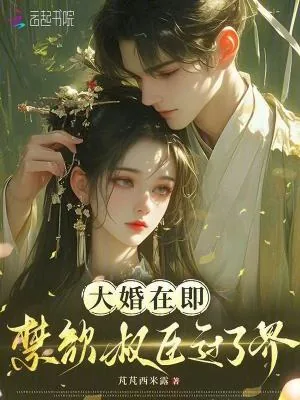 《大婚在即：禁欲权臣过了界》小说封面