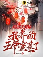 《杂货铺通古今：我养的王爷登基了》小说封面