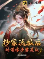《抄家流放后,娇俏娘子要造反》小说封面