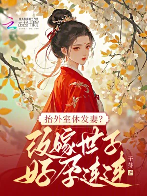 《抬外室休发妻？改嫁世子好孕连连》小说封面