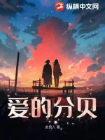 《爱的分贝》小说封面