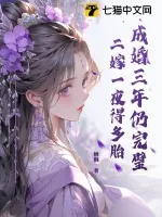 《成婚三年仍完璧，二嫁一夜得多胎》小说封面