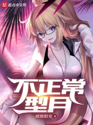 《不正常型月》小说封面