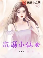 《沉溺小仙女》小说封面