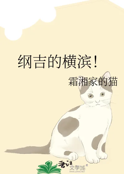 《纲吉的横滨！》小说封面