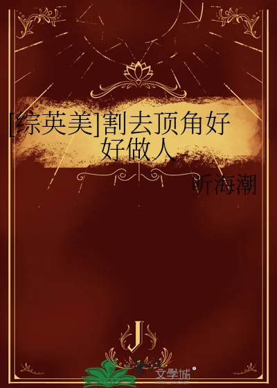 《[综英美]割去顶角好好做人》小说封面