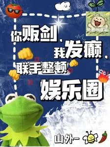 《你贩剑,我发癫,联手整顿娱乐圈》小说封面