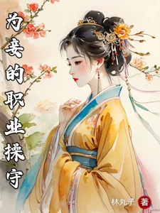 《为妾的职业操守》小说封面
