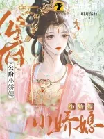 《公府小娇媳》小说封面