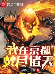 《我在京都焚尽诸天》小说封面