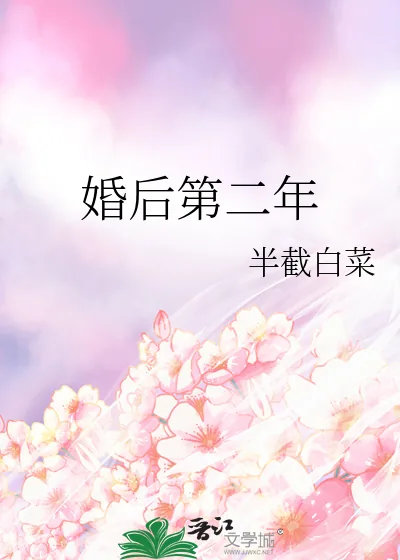 《婚后第二年》小说封面