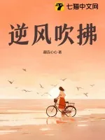 《逆风吹拂》小说封面