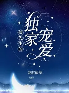 《傅先生的独家宠爱》小说封面