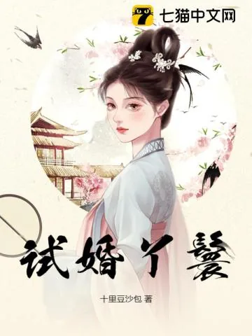 《试婚丫鬟》小说封面