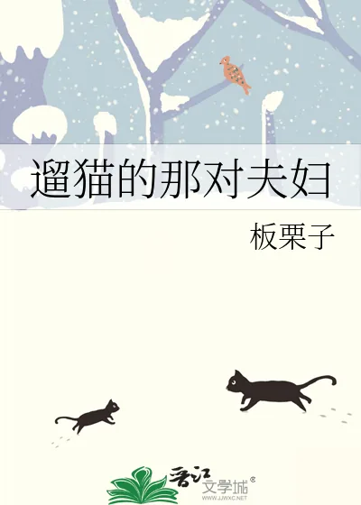 《遛猫的那对夫妇》小说封面
