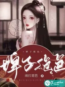 《婢子绝色》小说封面