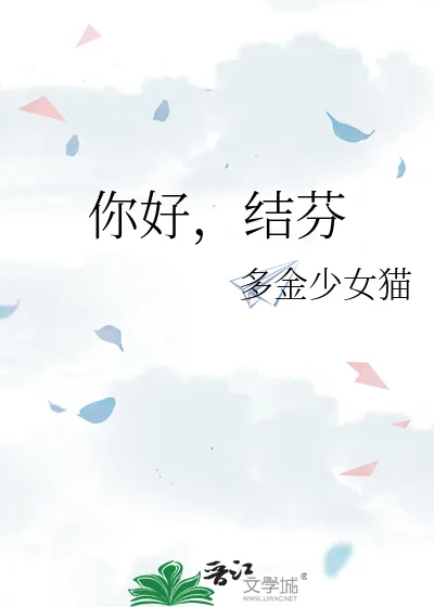 《你好,结芬》小说封面