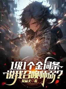 《1级1个金词条,说我召唤师弱?》小说封面