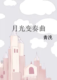 《月光变奏曲》小说封面