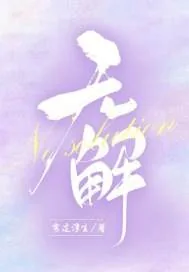 《无解》小说封面