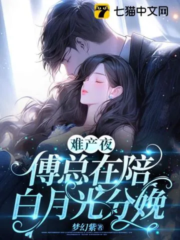《难产夜，傅总在陪白月光分娩》小说封面