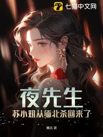 《夜先生，苏小姐从缅北杀回来了》小说封面