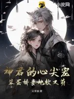 《神君的心尖宠,笨蛋娇妻她软又萌》小说封面