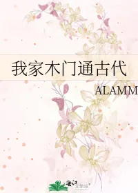 《我家木门通古代》小说封面
